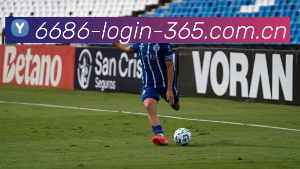 6686登录通道平台生态图