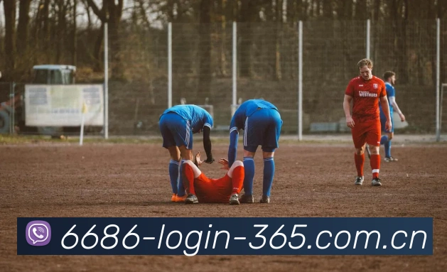 6686登录通道全站App